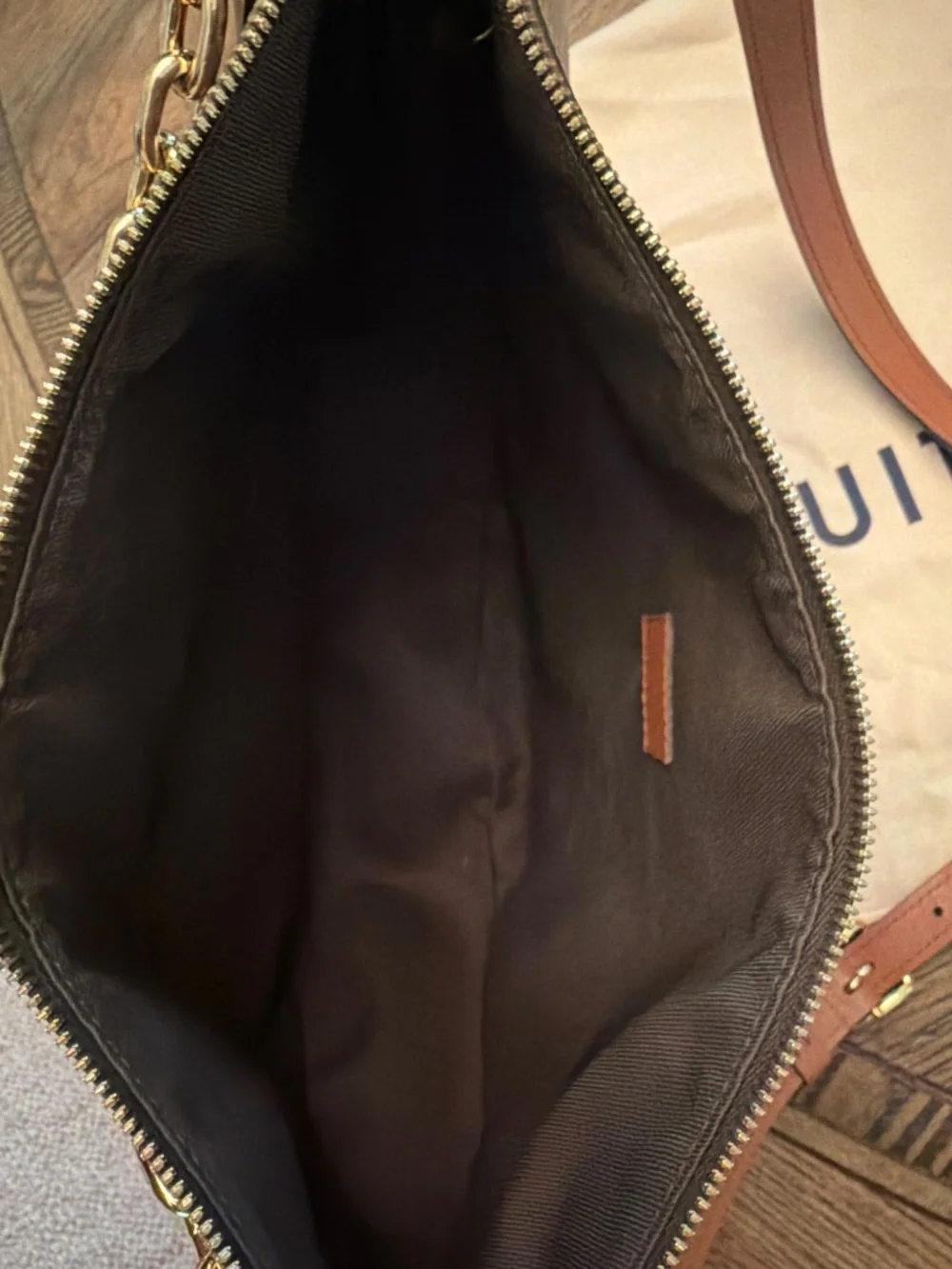 Louis Vuitton Loop Hobo Monogram Canvas
